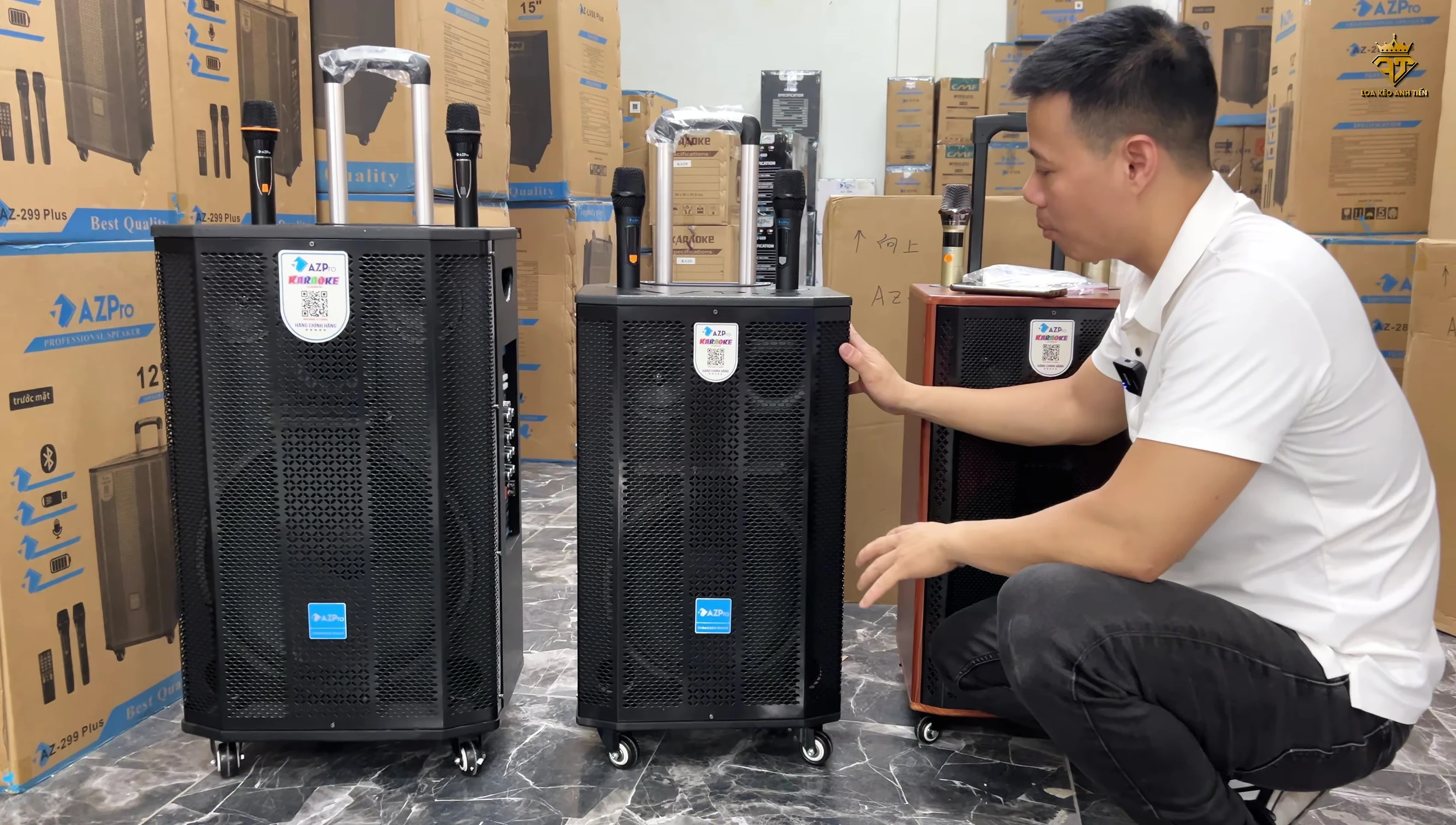 Hình ảnh tổng quan loa AZ Pro 299