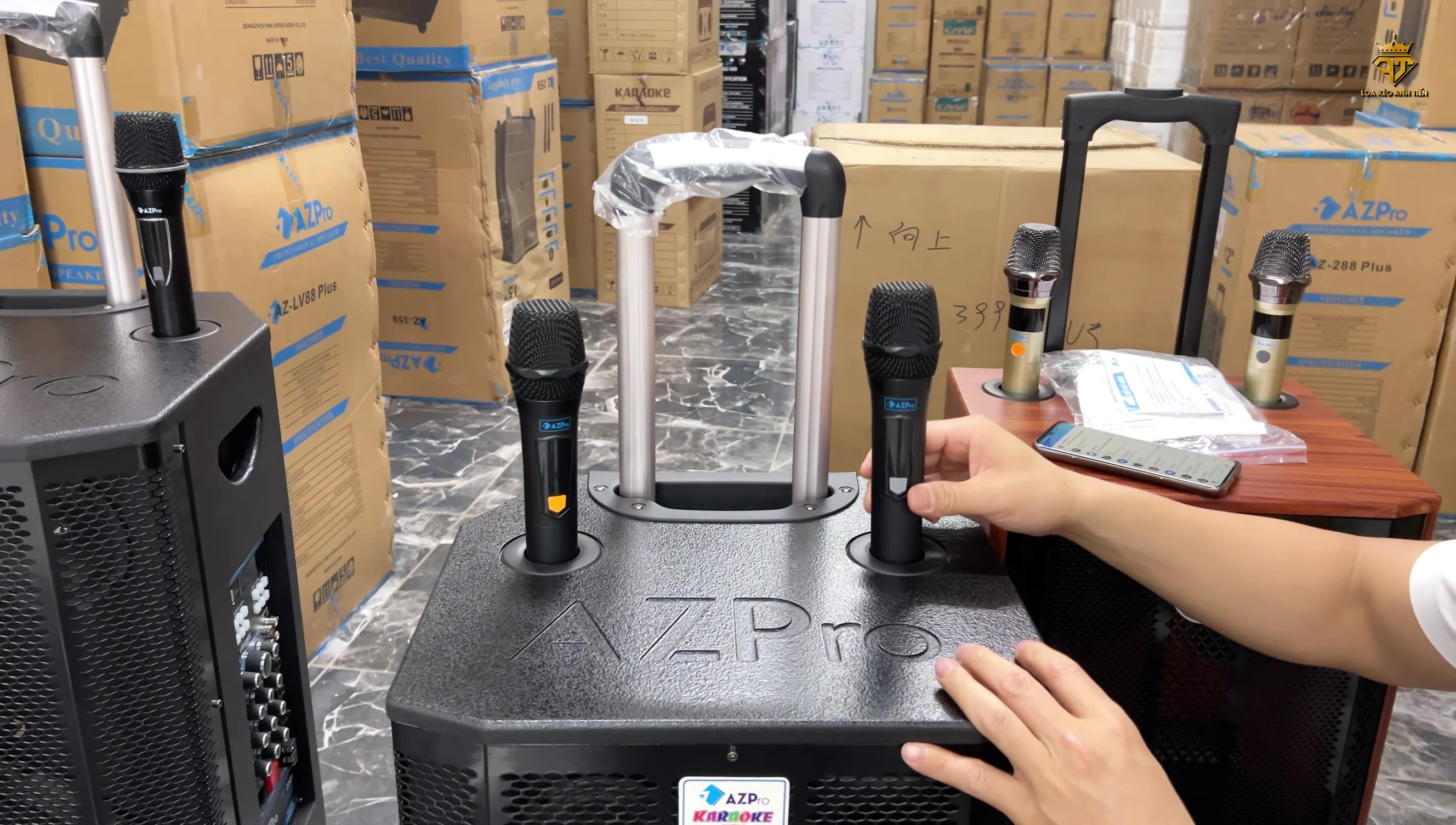 Hình ảnh cận cảnh micro của loa AZ Pro 299