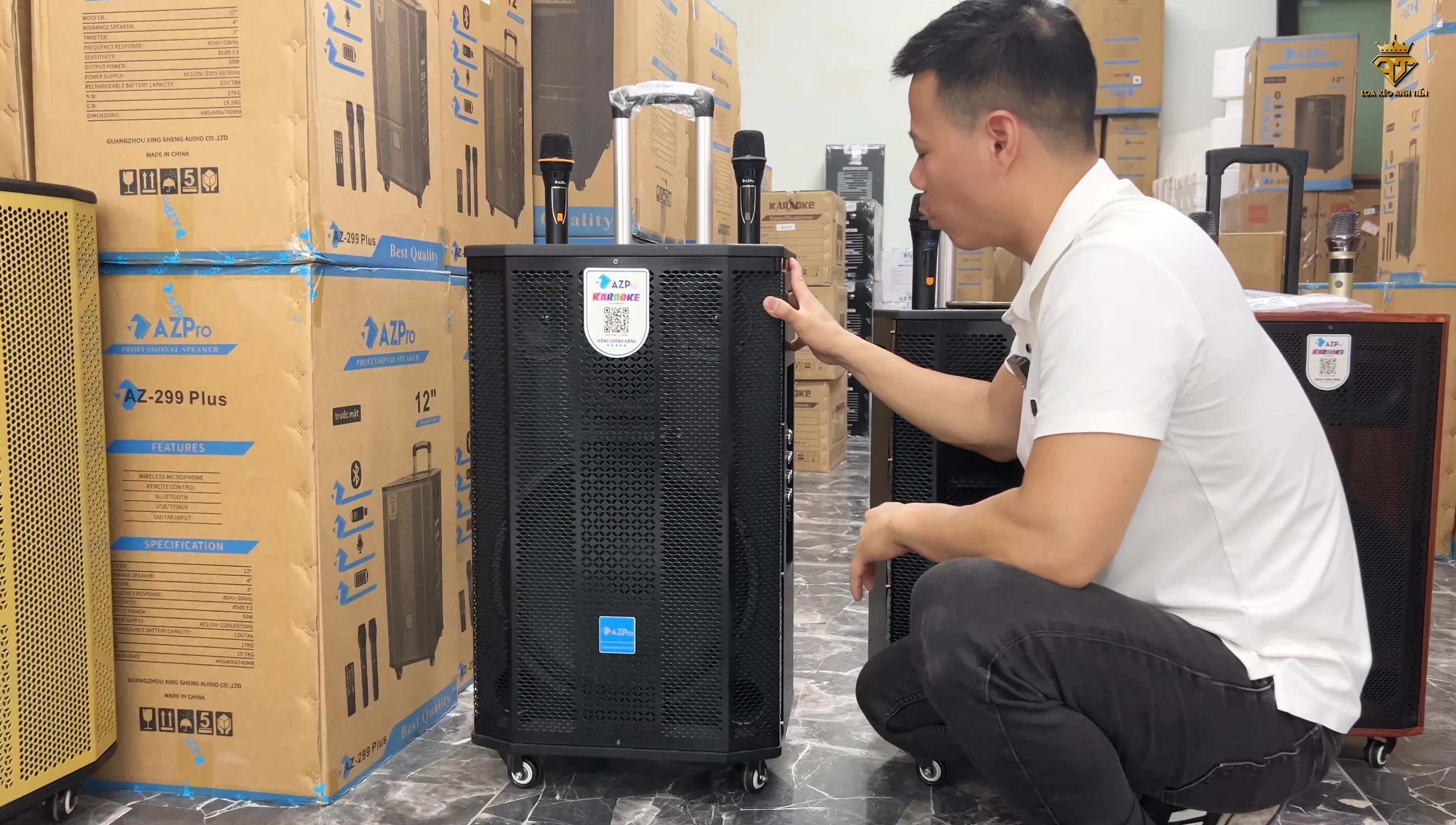 Hình ảnh cận cảnh loa AZ Pro 399 Plus