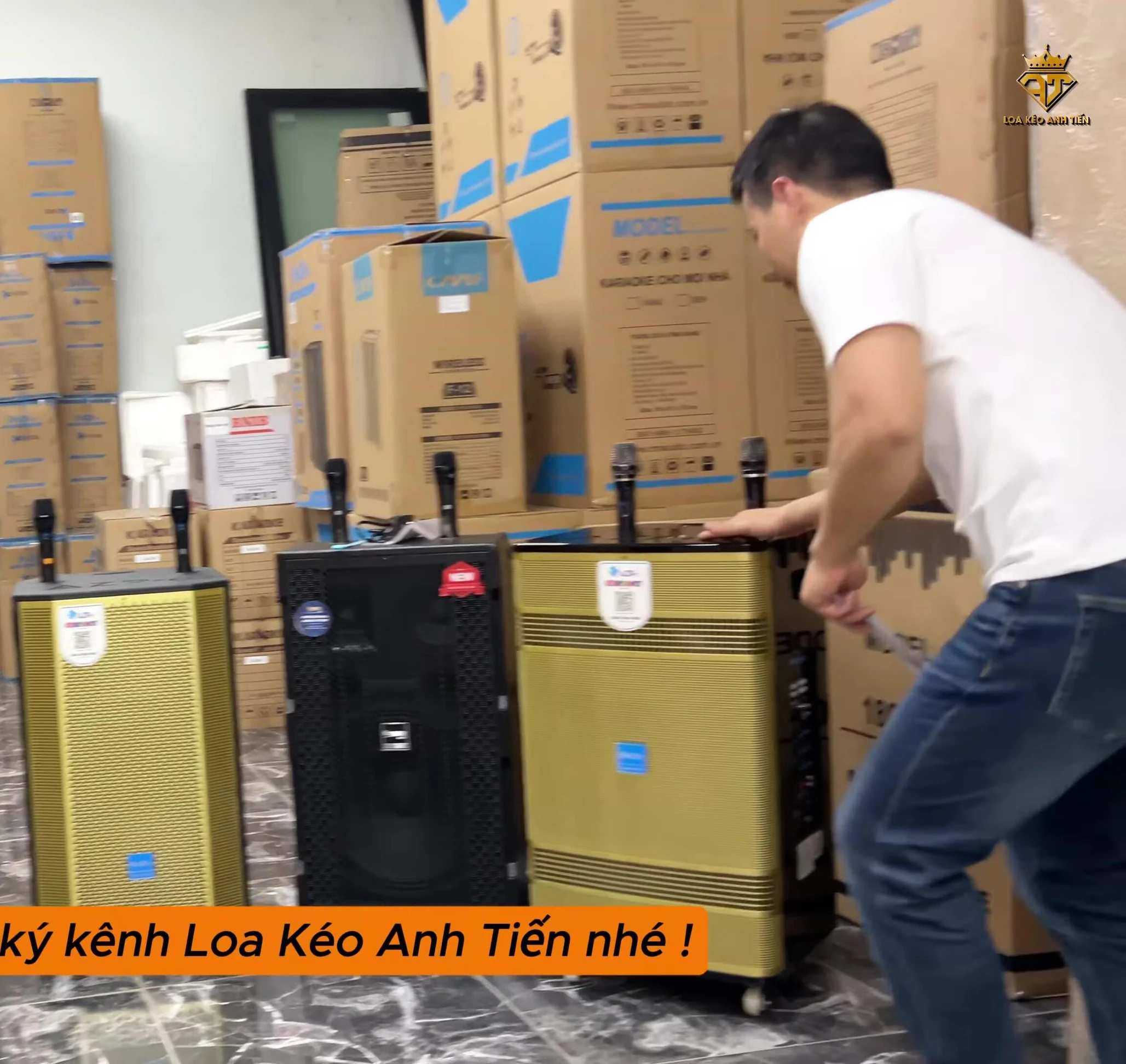 Hình ảnh cận cảnh loa AZ Pro 359