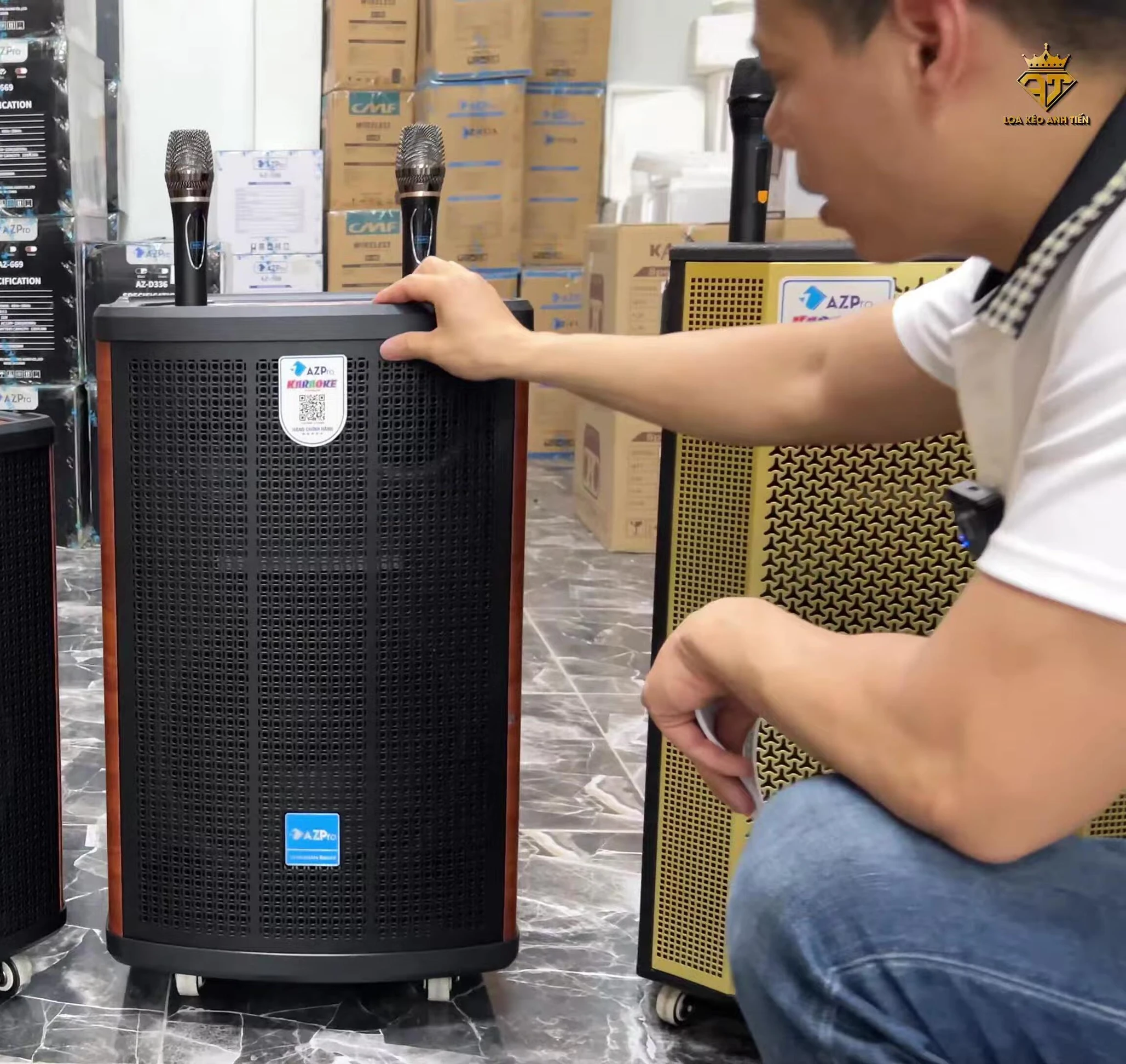 Hình ảnh loa AZ Pro 825