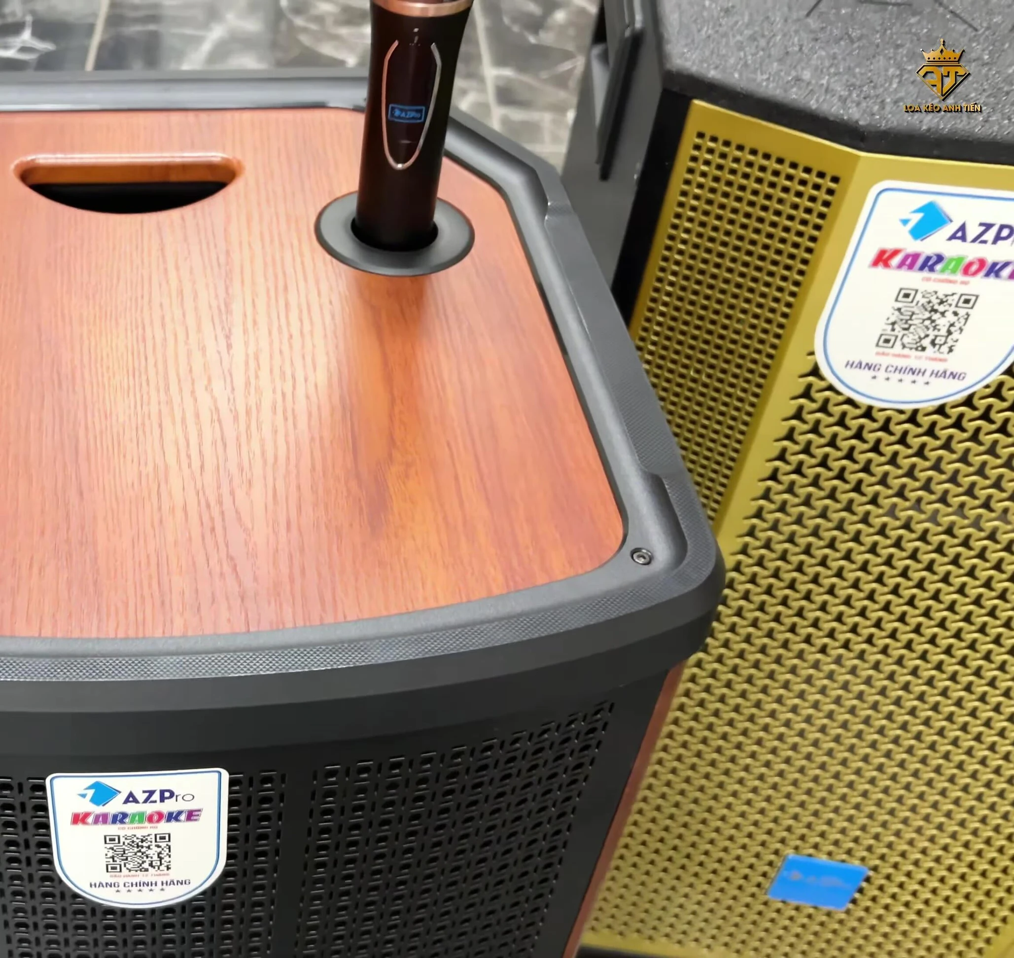 Hình ảnh loa AZ Pro 815