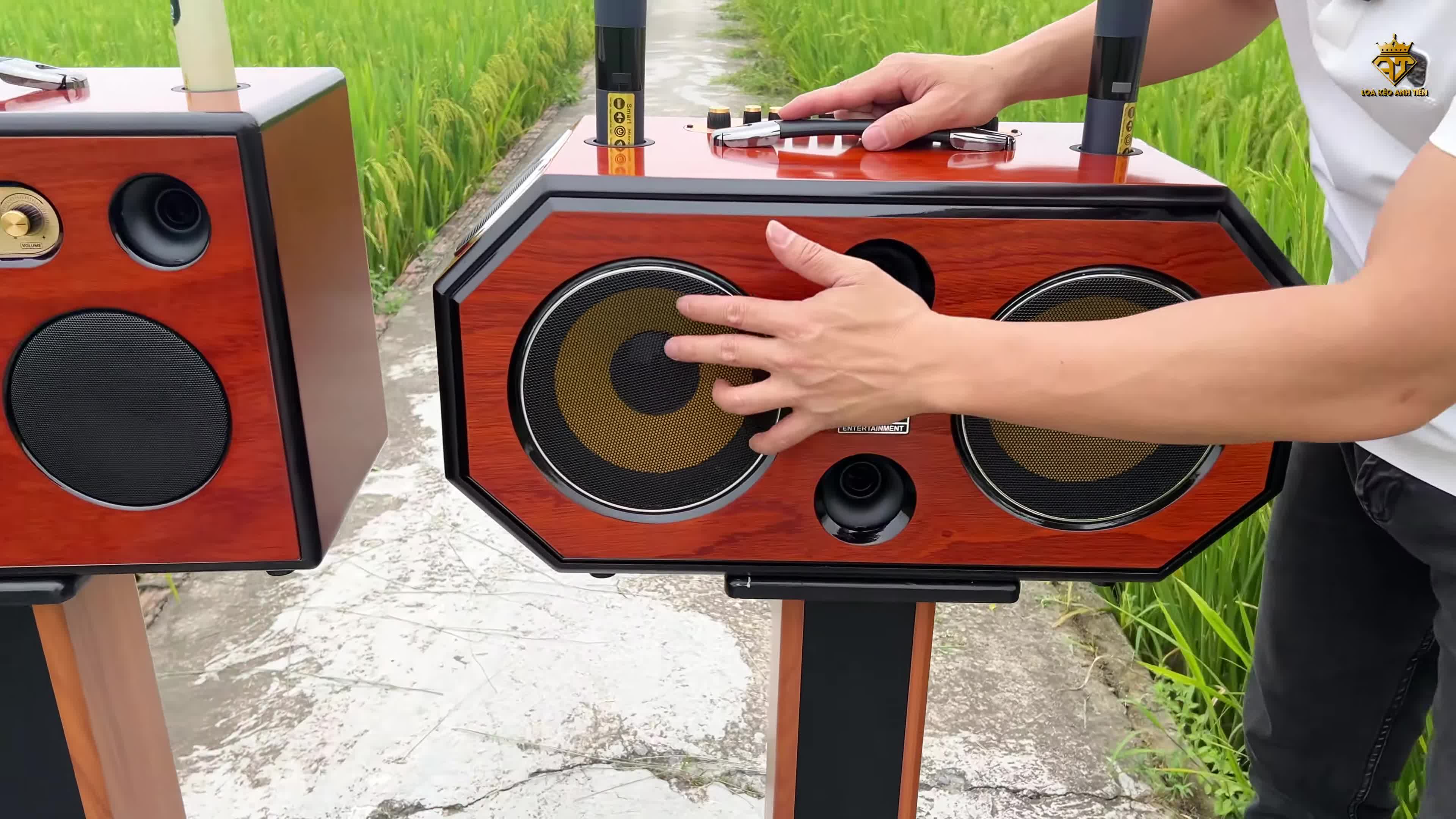 Hình ảnh cận cảnh hệ thống loa của Kanway K820, nhấn mạnh vào bass 20 và loa treble