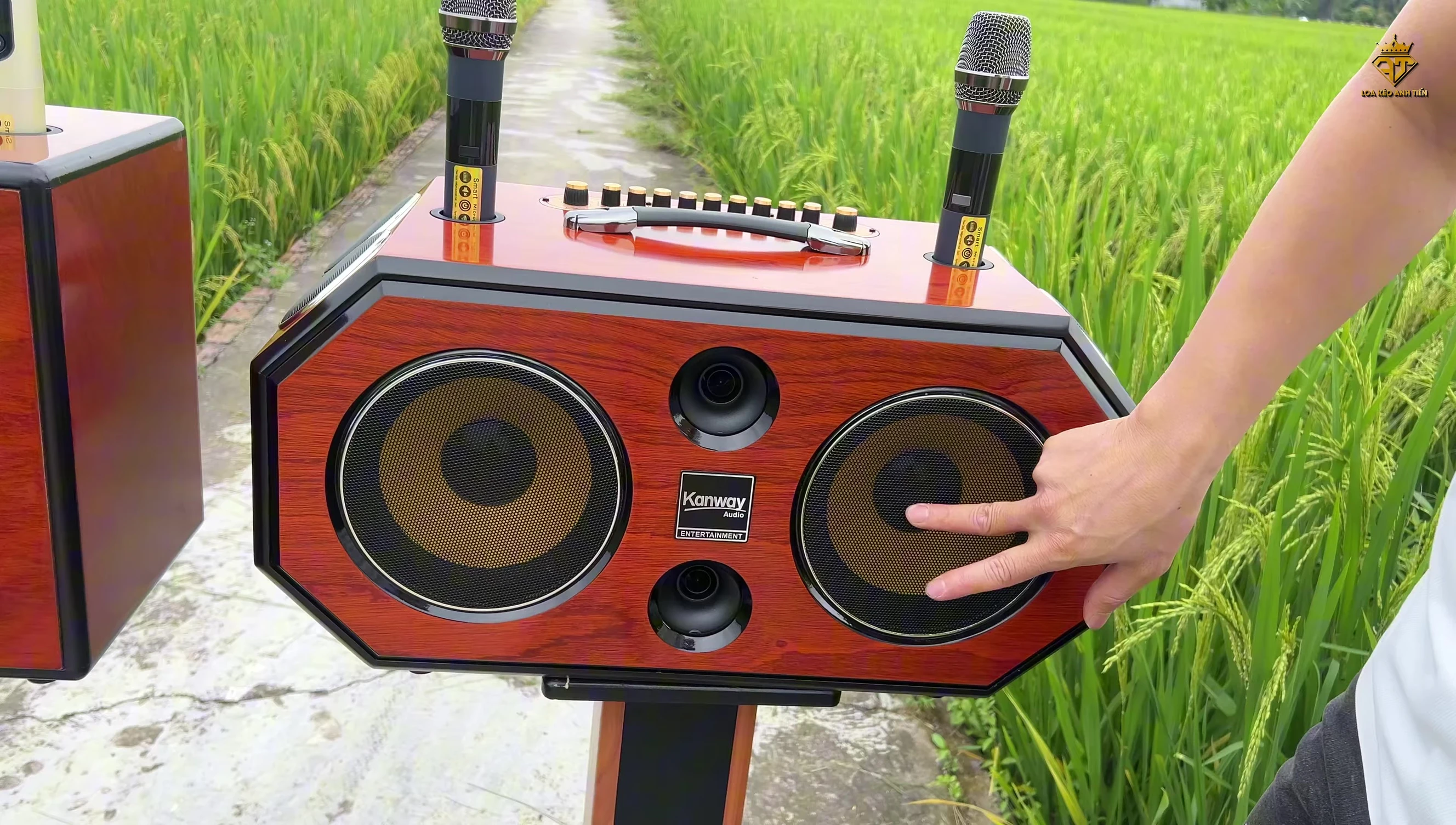 Hình ảnh cận cảnh mặt trước của loa, tập trung vào bass 20 và loa treble