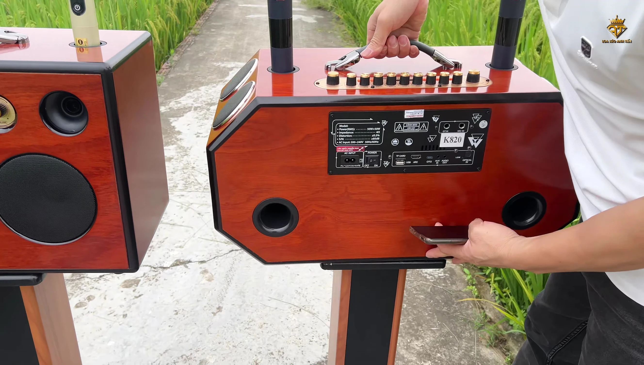 Hình ảnh mặt sau của loa, thể hiện các cổng kết nối