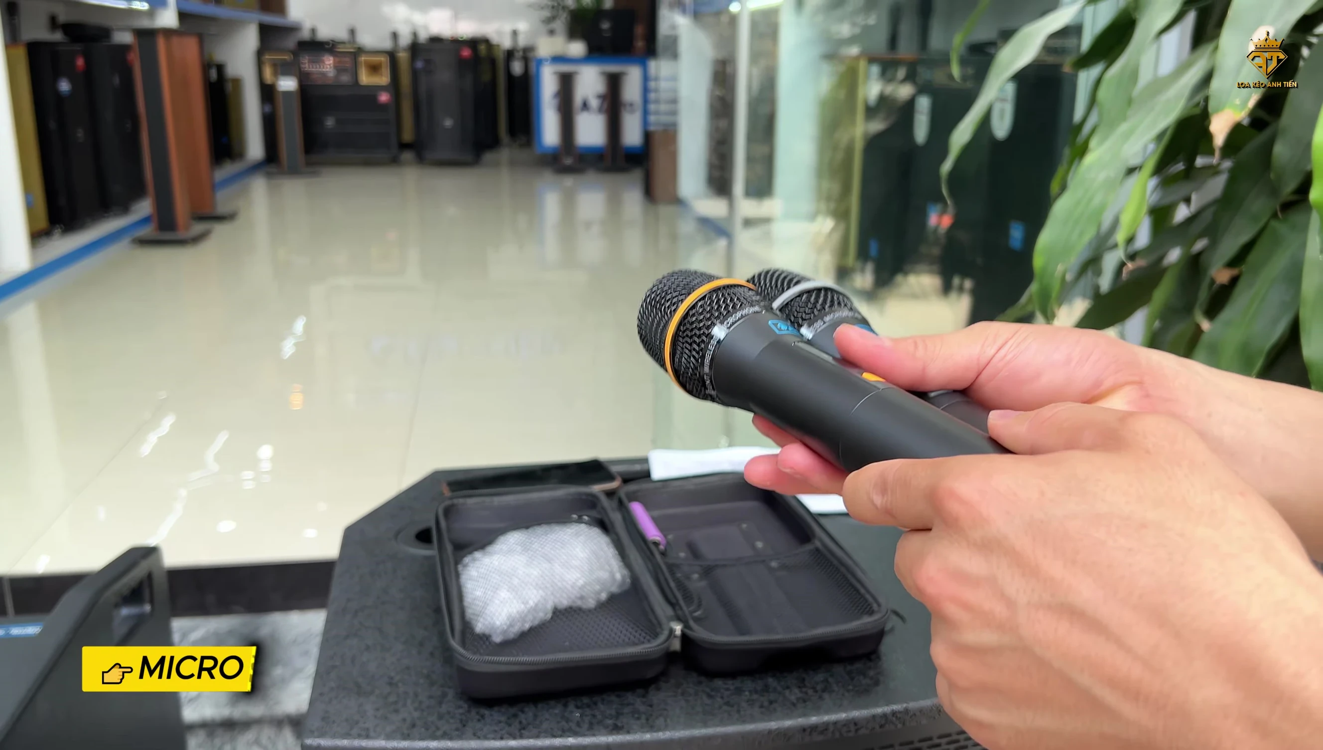 Ảnh so sánh micro của hai loa