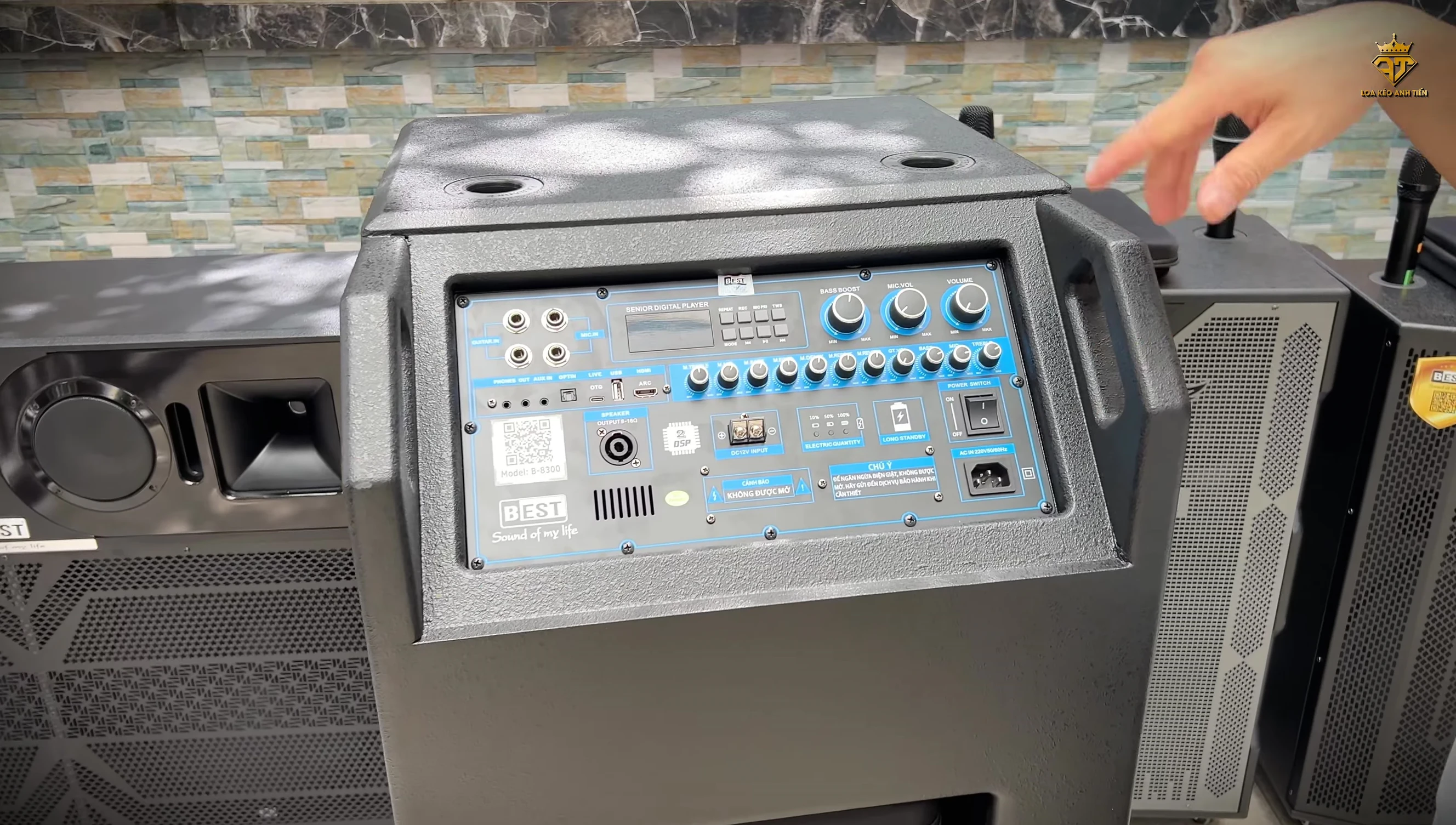 Bo mạch của loa B 8300